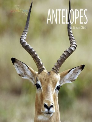 cover image of Antelopes